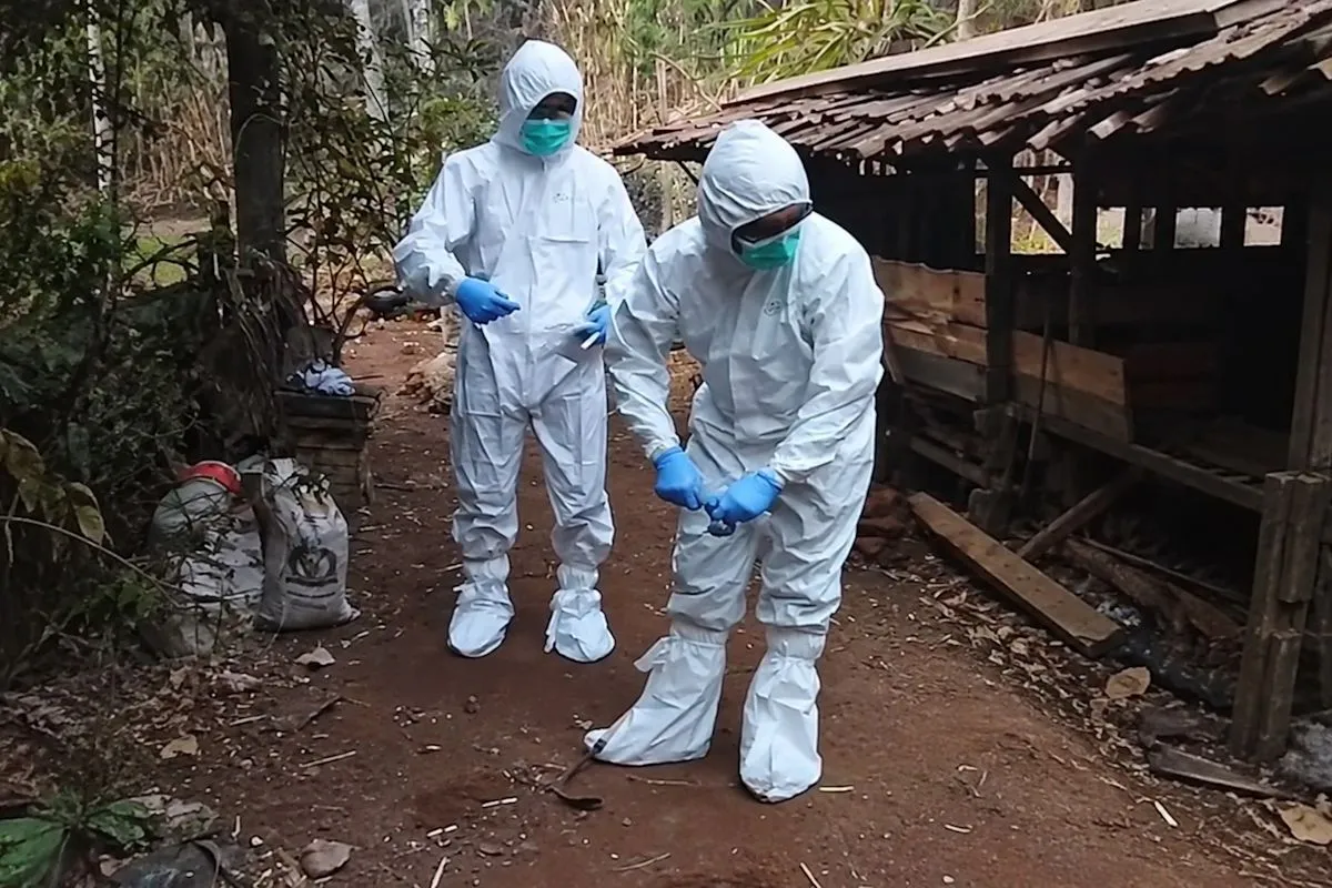 Kemarin, Pencegahan Antraks hingga Hilirisasi Nikel Dorong Perubahan Ekonomi